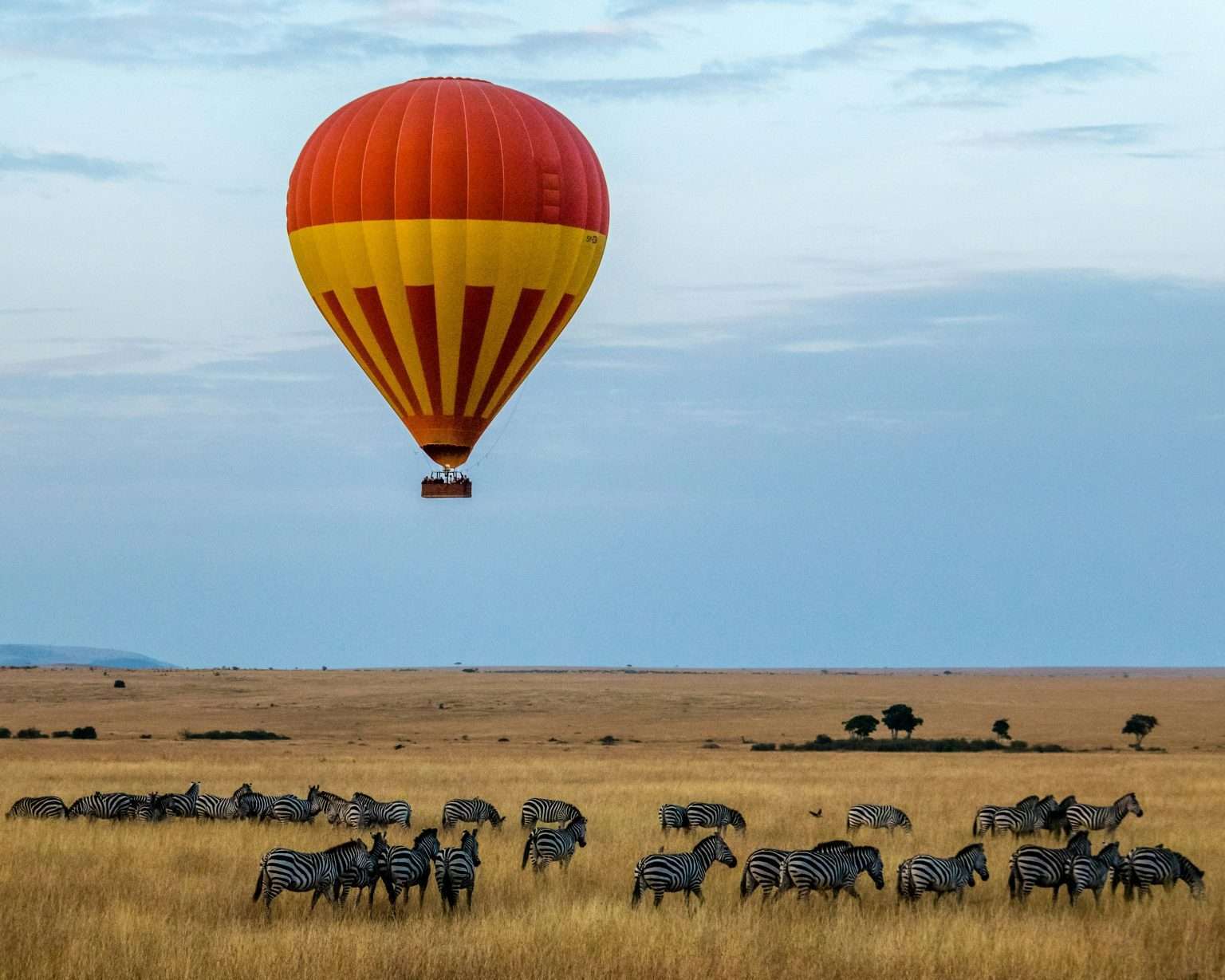 Image number 1 for 2-Day Fly-in Safari From Zanzibar.