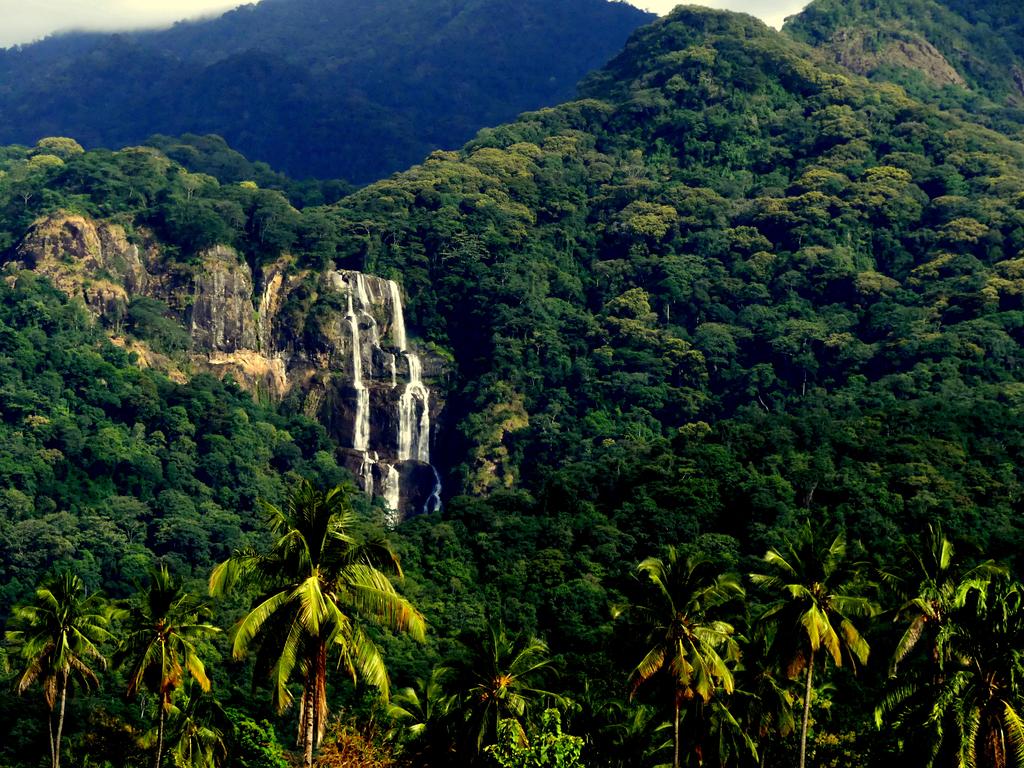Image number 2 for 3 Day : Mikumi National Park And Udzungwa Mountain Hiking