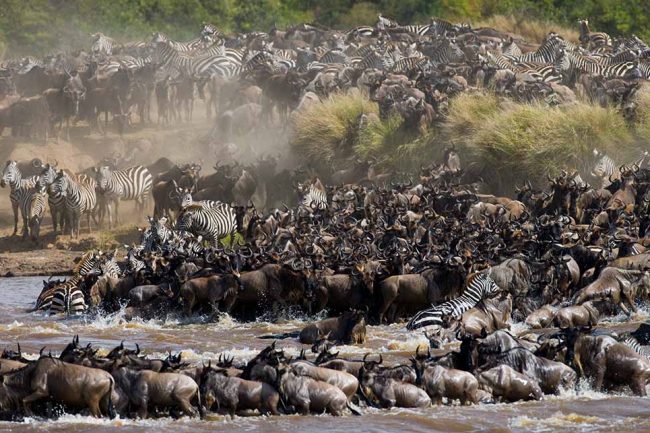 Image number 3 for 5 Days 4 Nights Serengeti,lake Manyara, Tarangire & Ngorongoro Crater