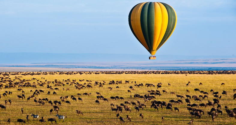 background image for - 7 Days Great Serengeti Migration