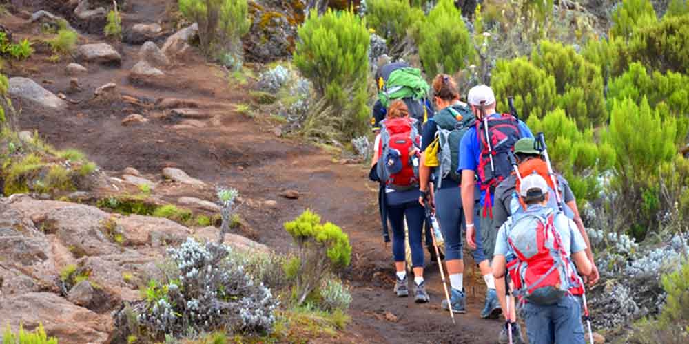 Image number 1 for 7 Day Machame Route