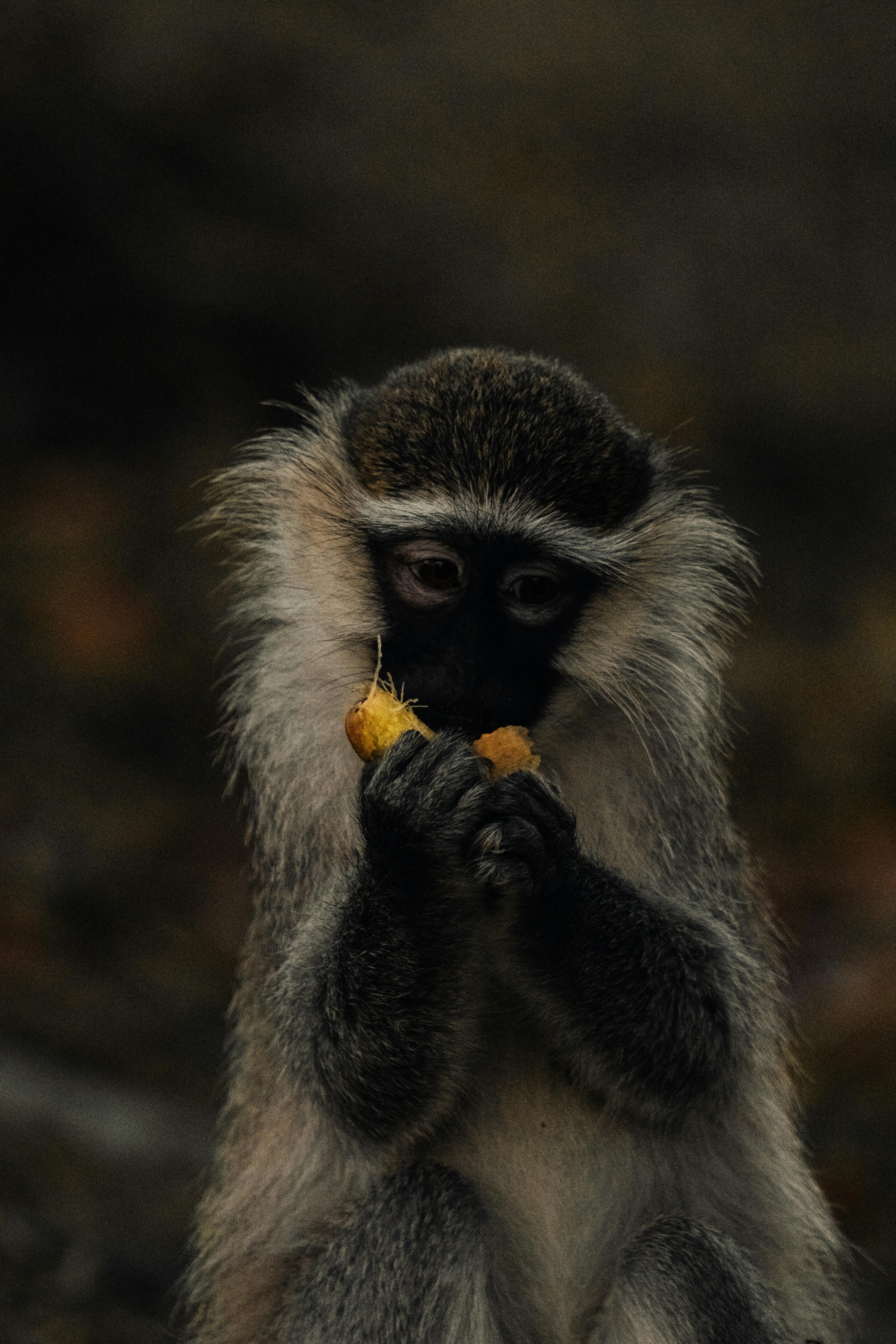 background image for - 1-Day Dar Es Salaam City Tour And Beach