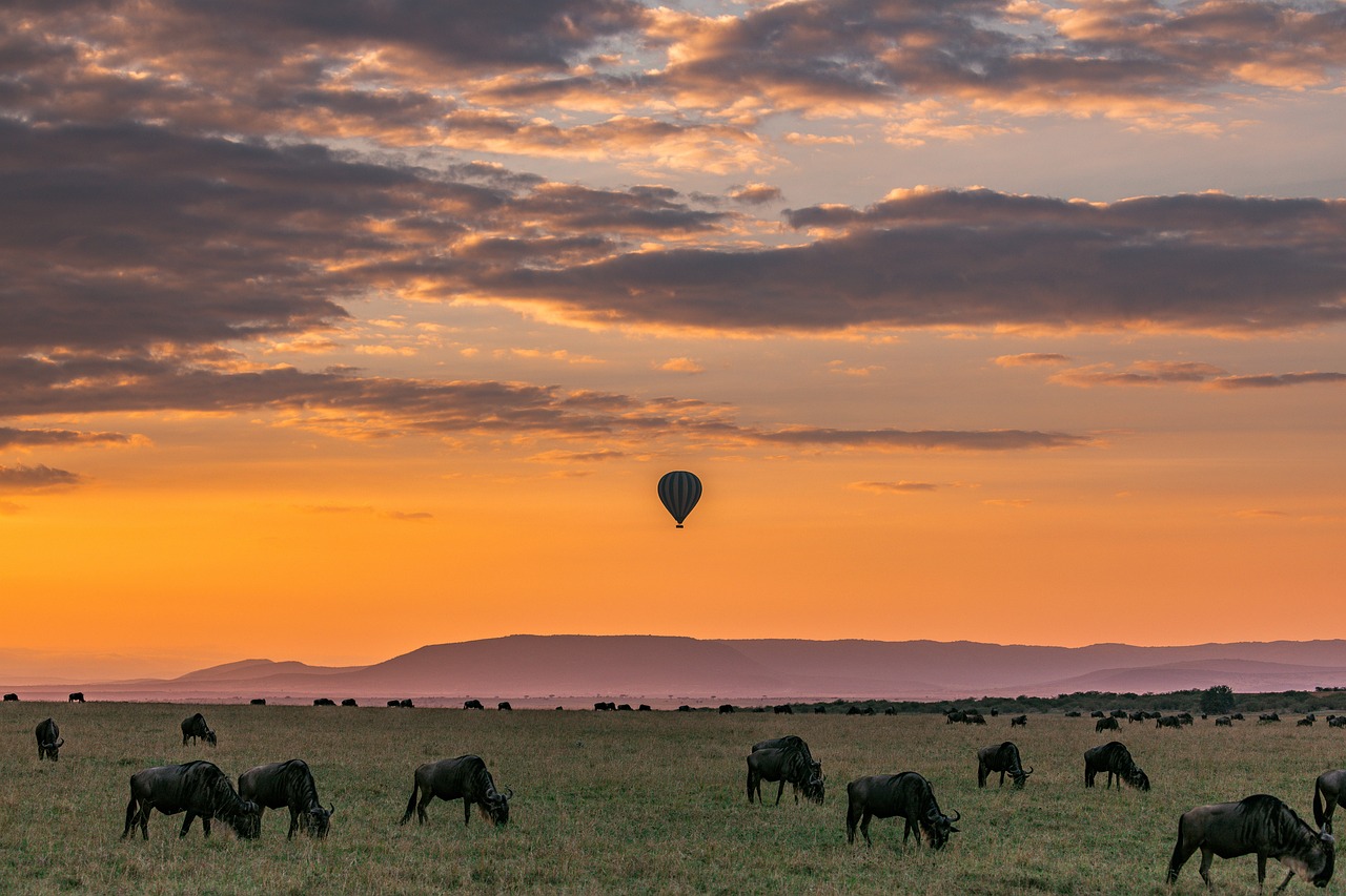 background image for - 4 Day Tanzania Private Safari 2025
