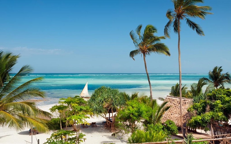 Image number 5 for 2 Weeks Tanzania Honeymoon Safari 2026-2027