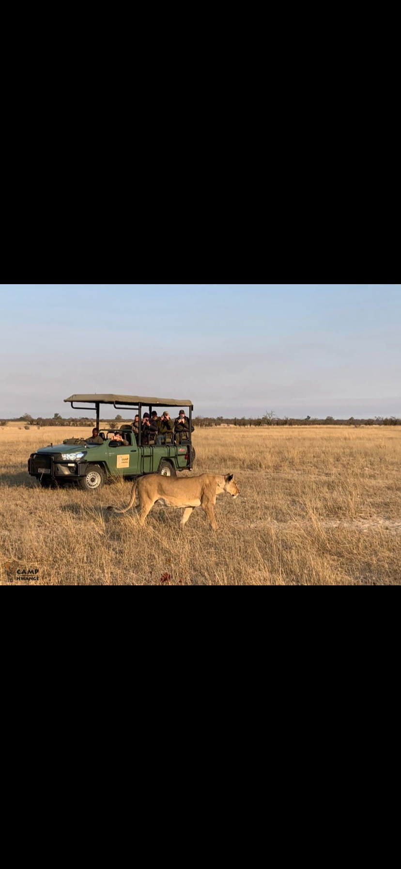 Image number 4 for Vic Falls To Chobe Day Trips 