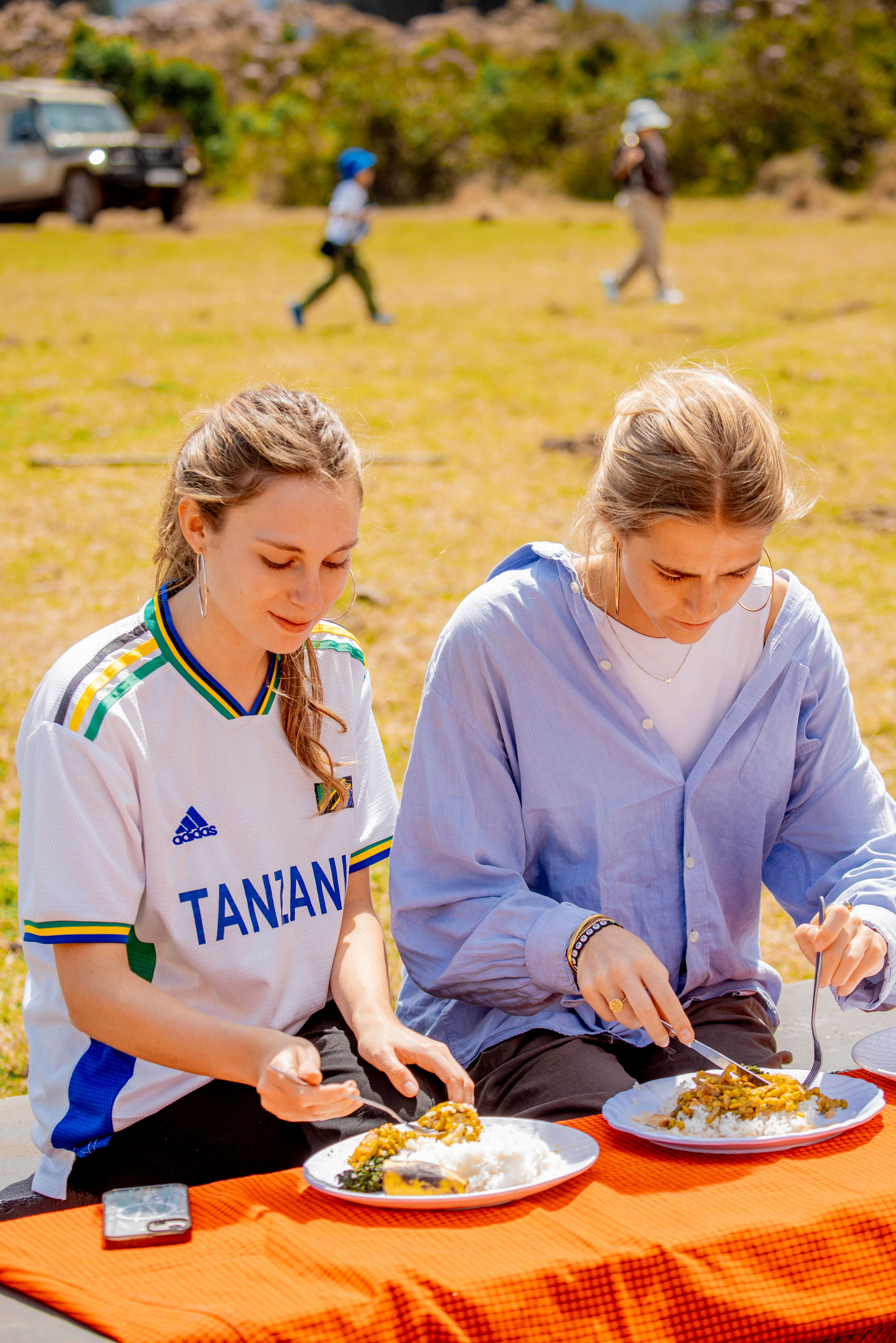 Image number 4 for Leopard Tanzania Luxury Safari