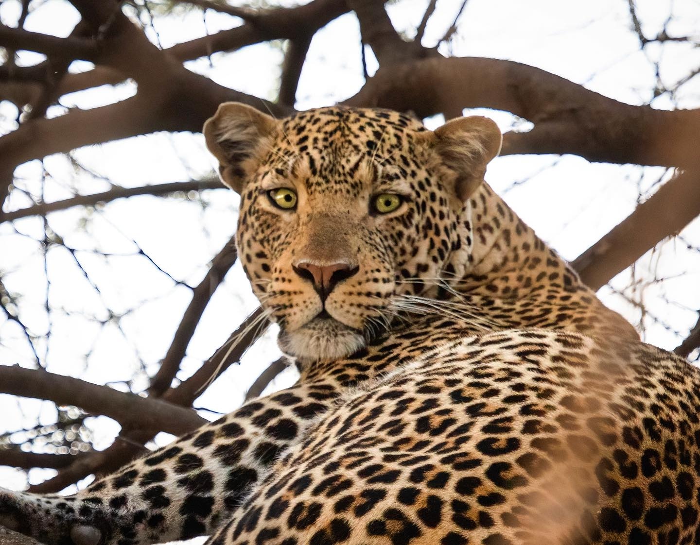 Image number 2 for 6 Days Lake Manyara, Serengeti, Ngorongoro & Tarangire
