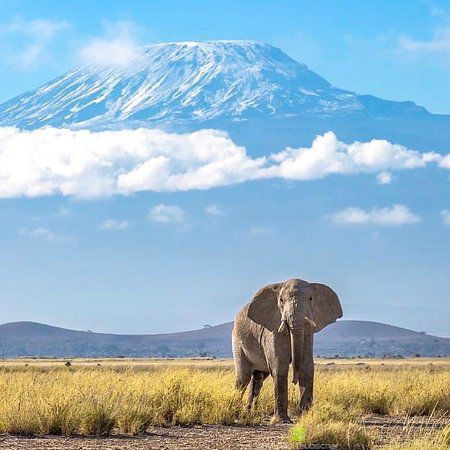 background image for - Arusha National Park, Tarangire, Ngorongoro Crater