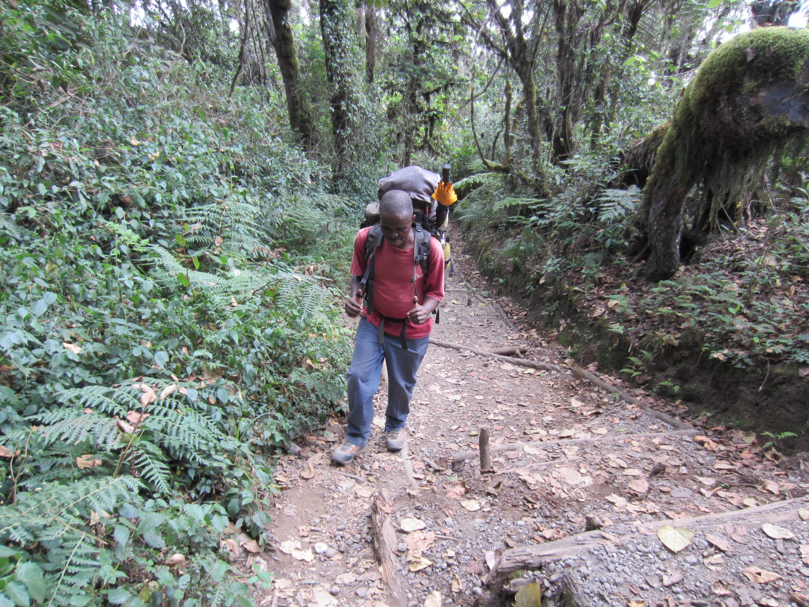 Image number 2 for Explore the Base of Mount Kilimanjaro