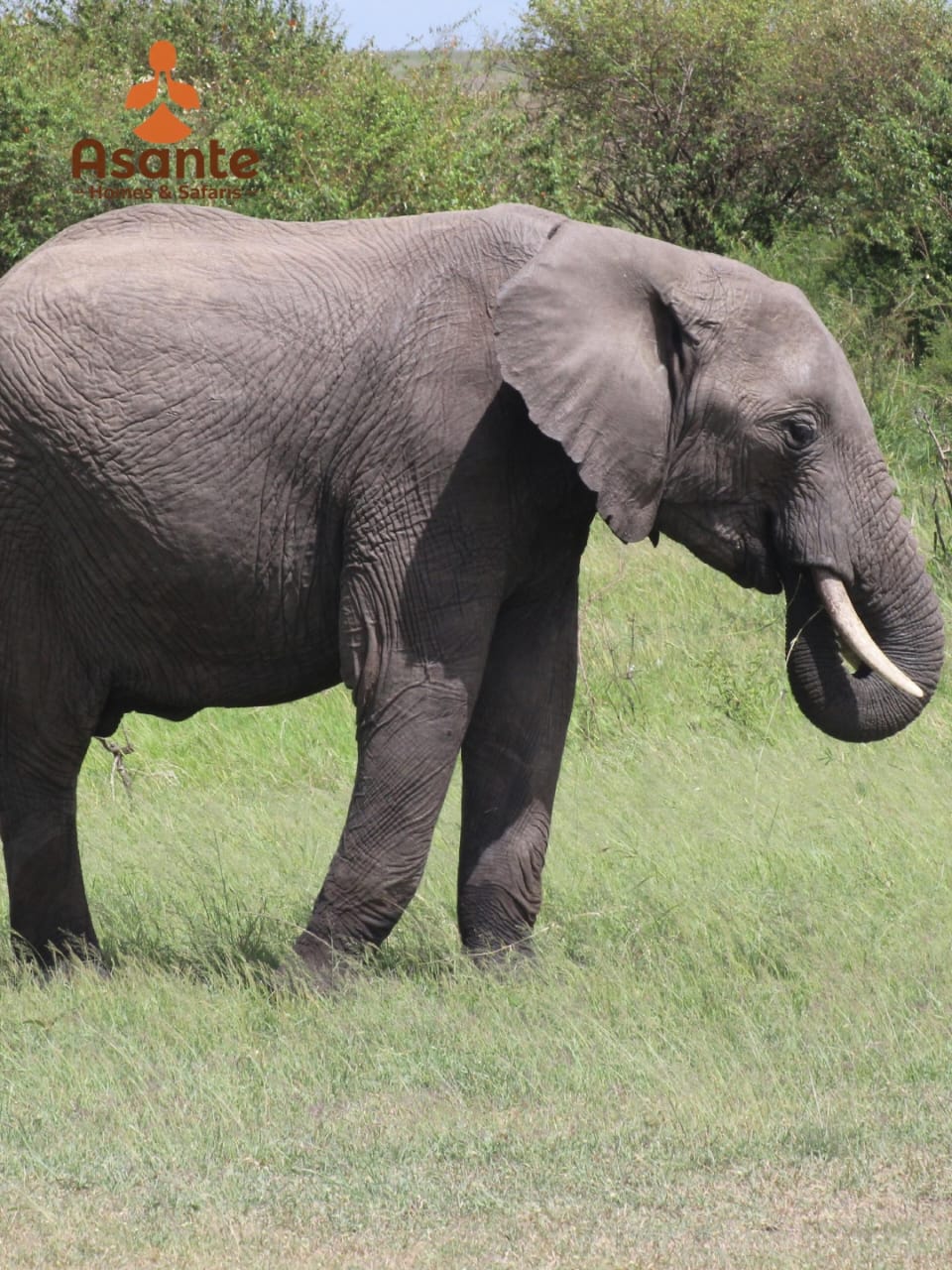background image for - 2 Days Tarangire & Ngorongoro Crater Safari Adventure