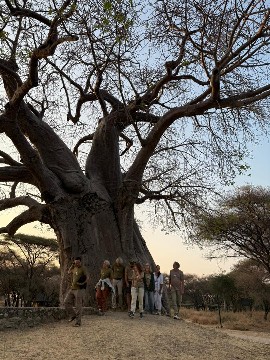 Image number 3 for Tarangire, Serengeti & Ngorongoro Crater Tour
