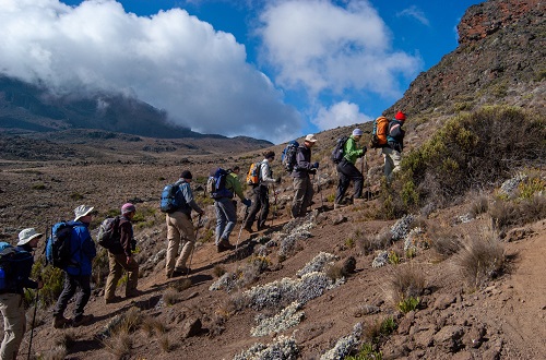 background image for - Kilimanjaro Climbing Via Machame Route