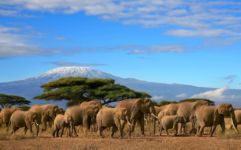 Image number 8 for Discover Kenya In 7 Days: Private Safari