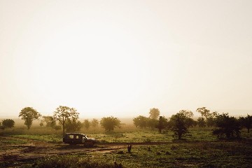 Image number 3 for Fly-in And Out To Tarangire And Ngorongoro Safari