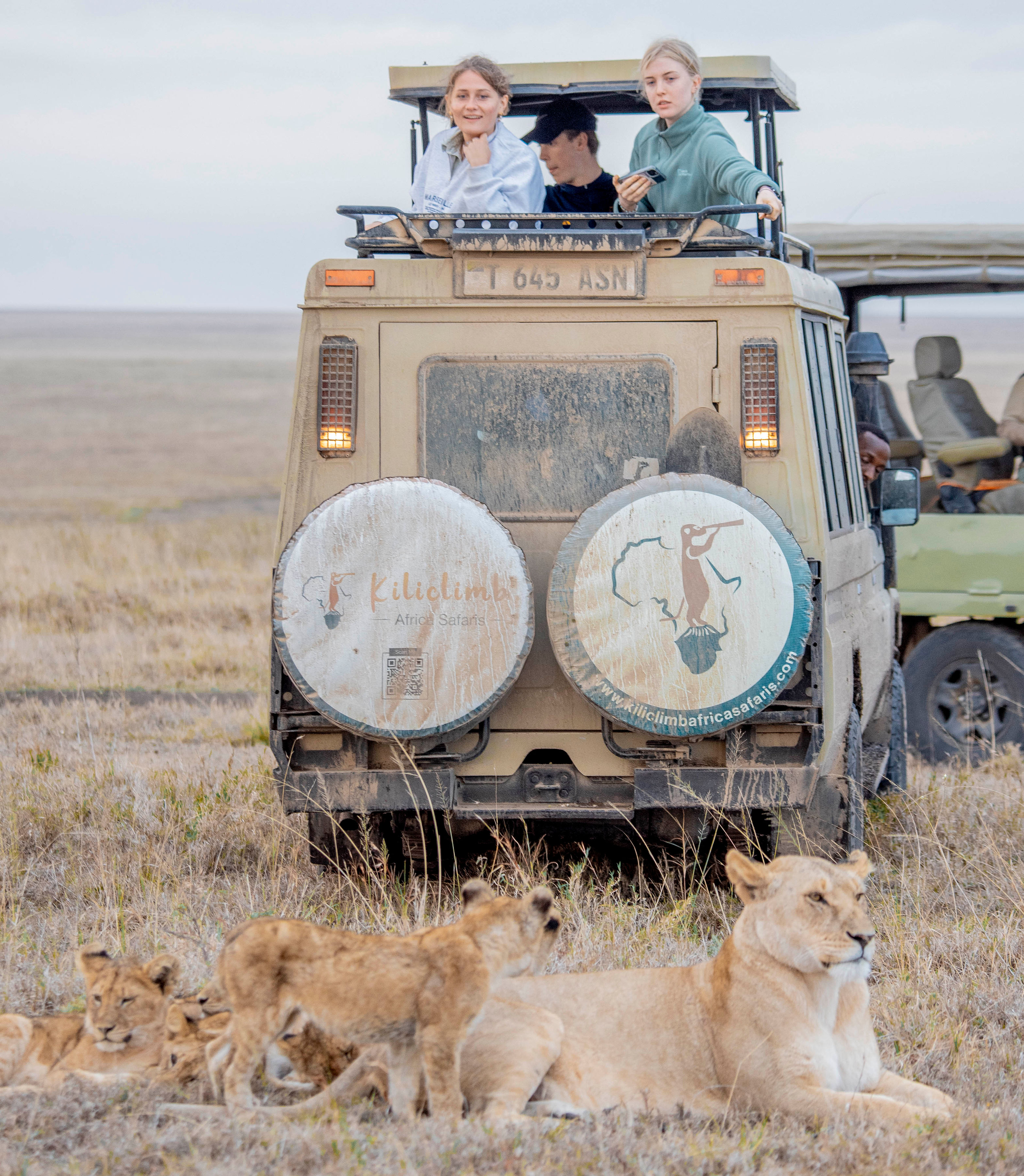 Image number 1 for Bespoke Tanzania Safari: Northern Circuit Elegance