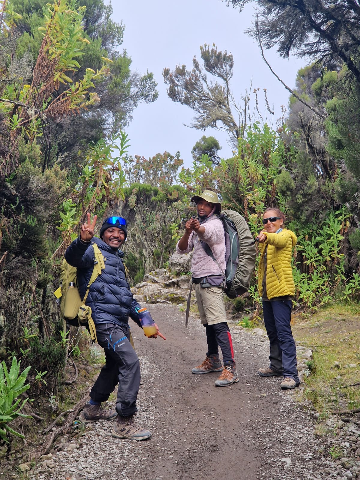 Image number 5 for Lemosho Route Via Kibo Crater