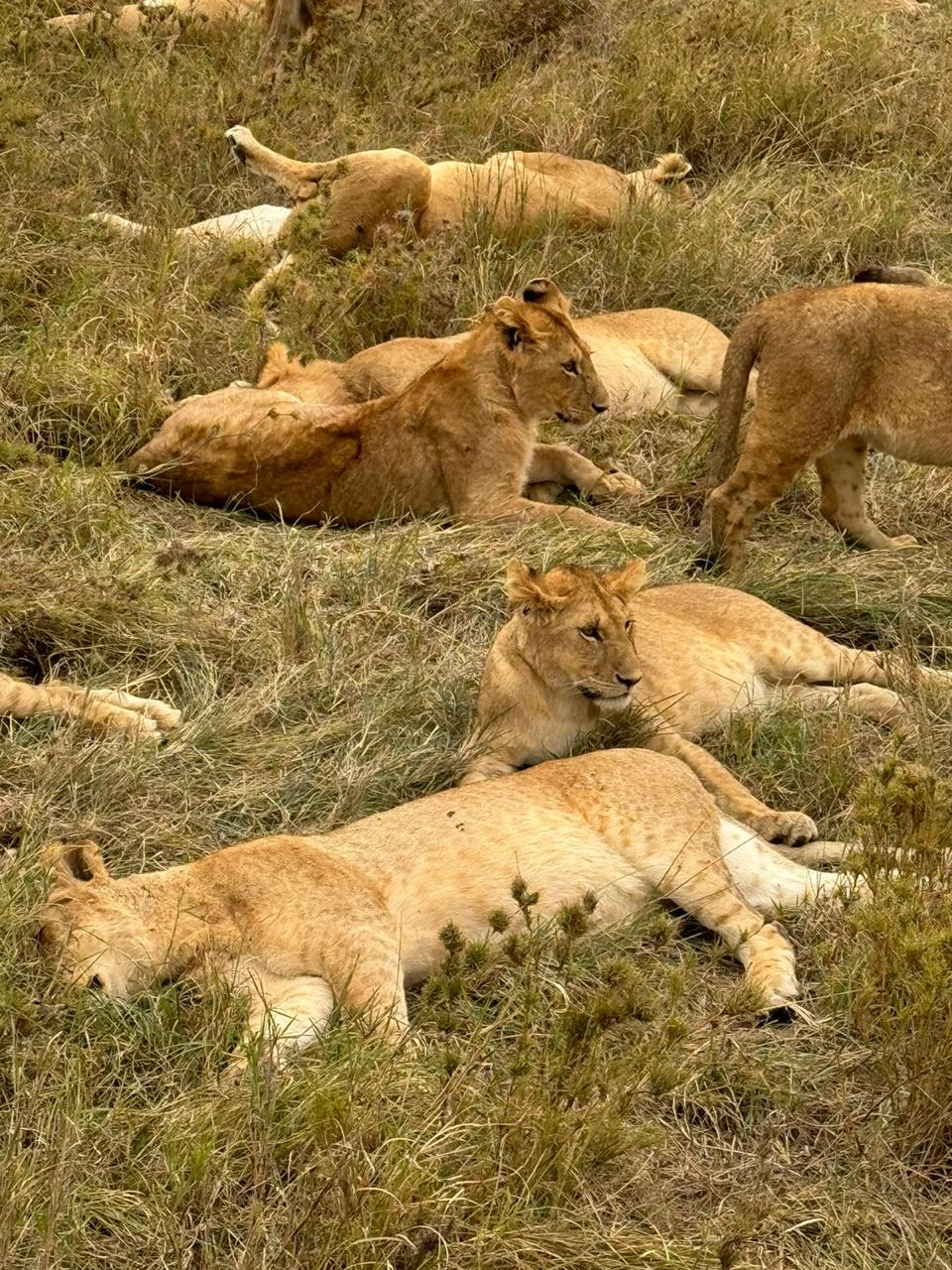 background image for - Tanzania Adventure Safari 