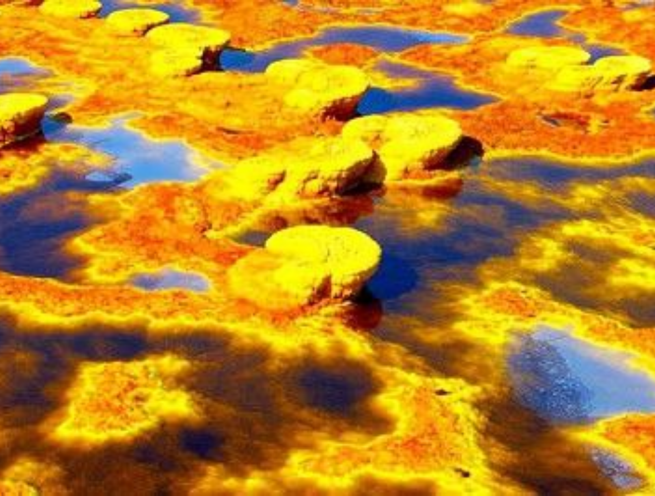 Image number 6 for 3-Day Danakil Depression Tour Itinerary