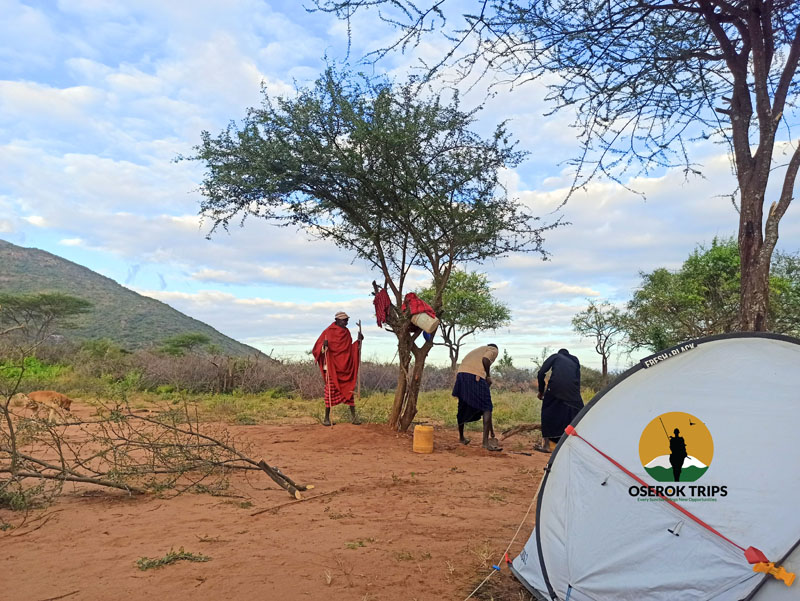 background image for - Maasai Village Camping Experience
