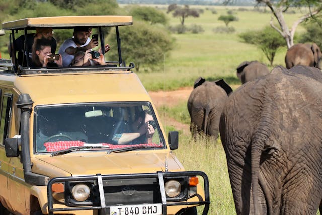 background image for - Arusha National Park Day Trip