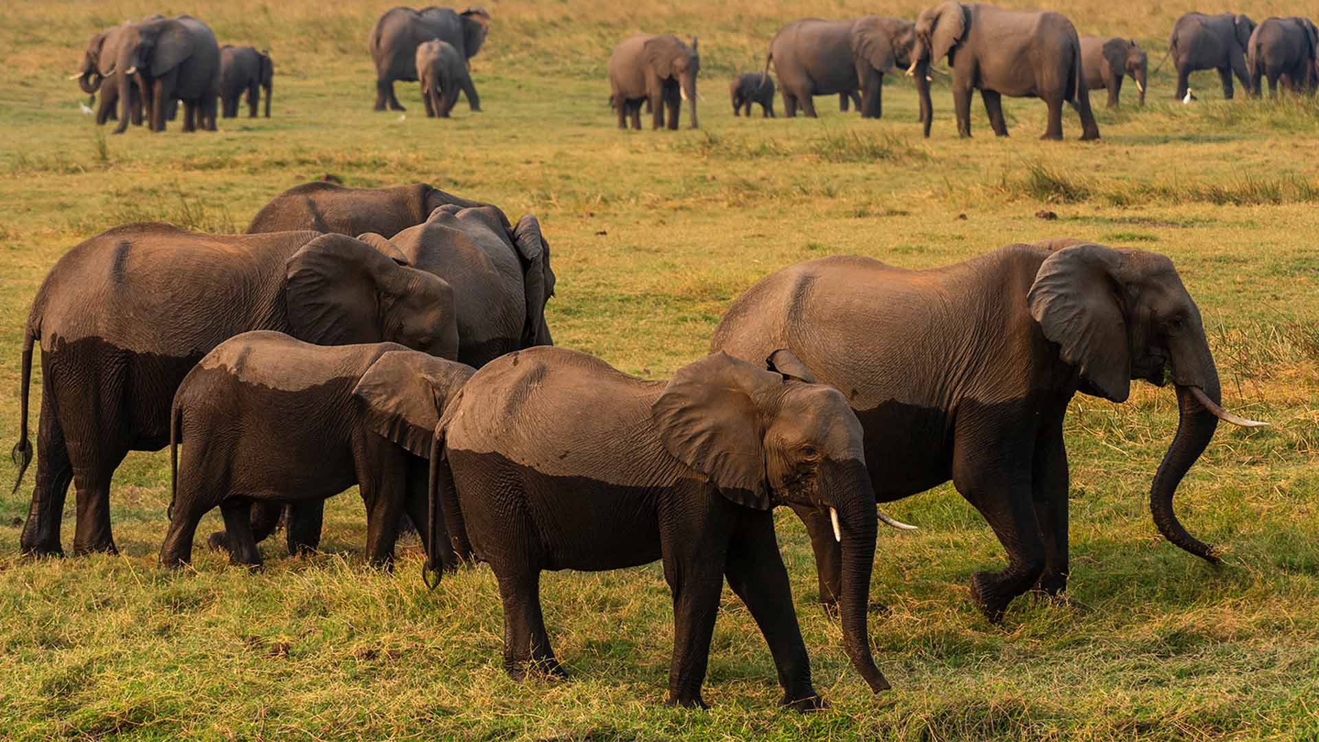 Image number 4 for 7 Days Camping Northern Zone Safari