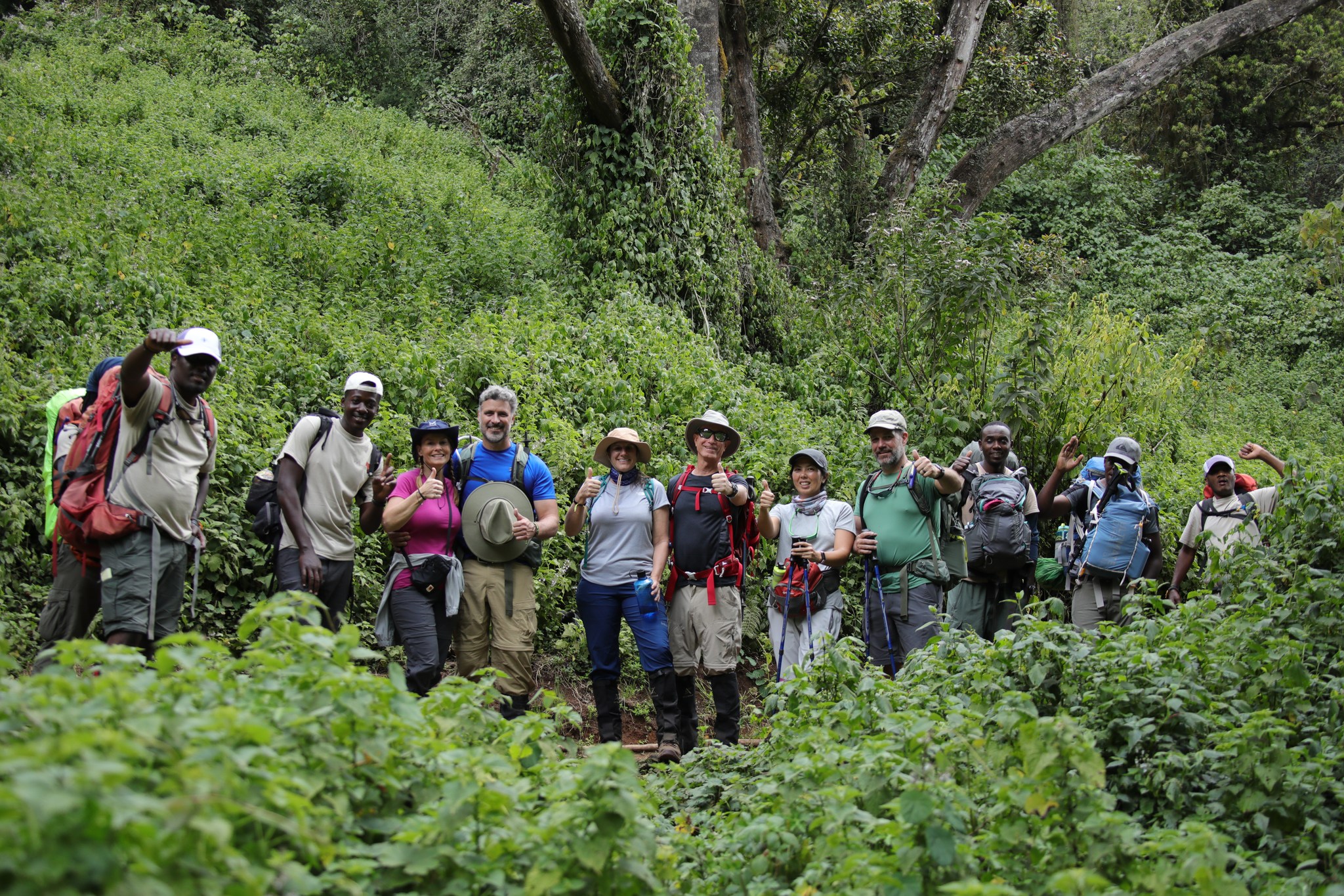 background image for - 7 Days Machame Route – Mount Kilimanjaro Climb