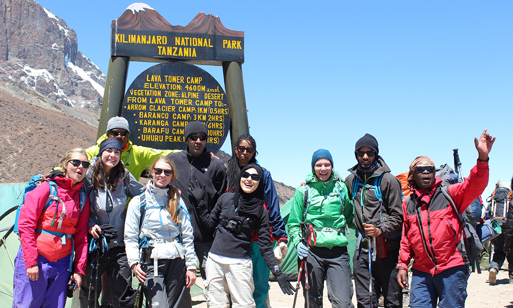 Image number 3 for Kilimanjaro Trekking Lemosho Route 8 Days