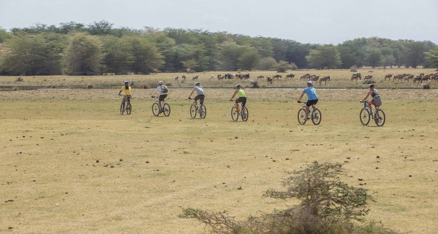 background image for - 1 Day Bike Tour Lake Manyara Cycling