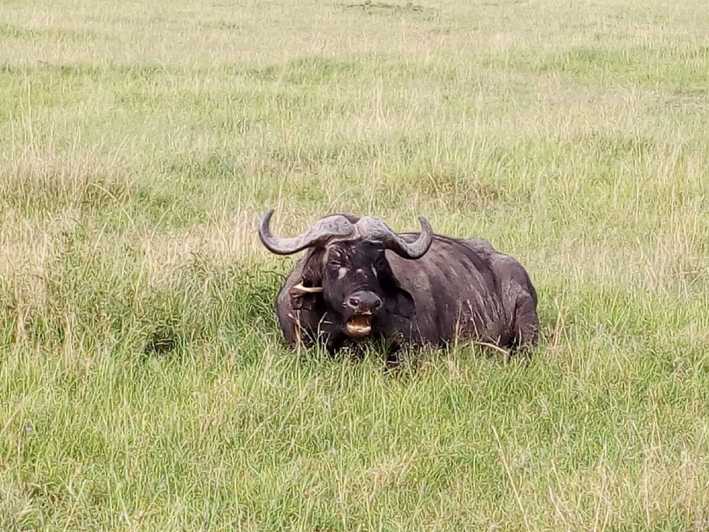 background image for - Day Trip To Arusha National Park
