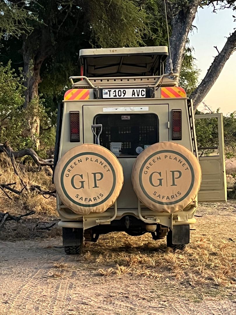 Image number 4 for Day Honeymoon Classic Safari Bliss