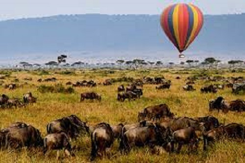 background image for - Best 2-Days Masai Mara Ballon Safari