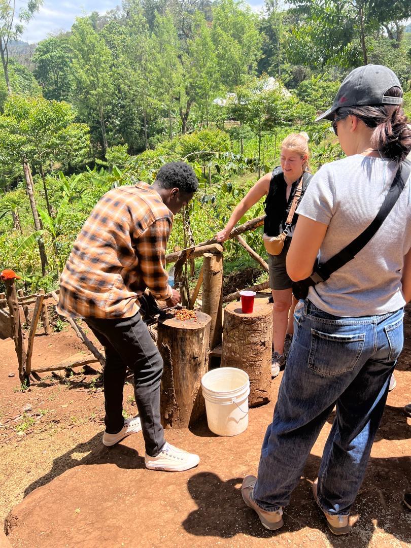 Image number 3 for Ngorongoro, Manyara, Tarangire & Materuni Village