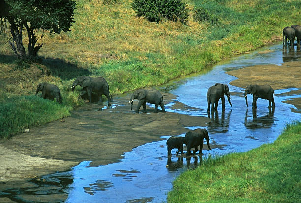 Image number 5 for 3 Days 2 Nights Ngorongoro Crater,tarangire And Manyara National Park