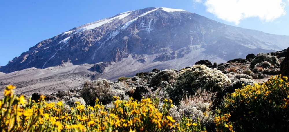 background image for - Best 8 Days Kilimanjaro - Lemosho Route