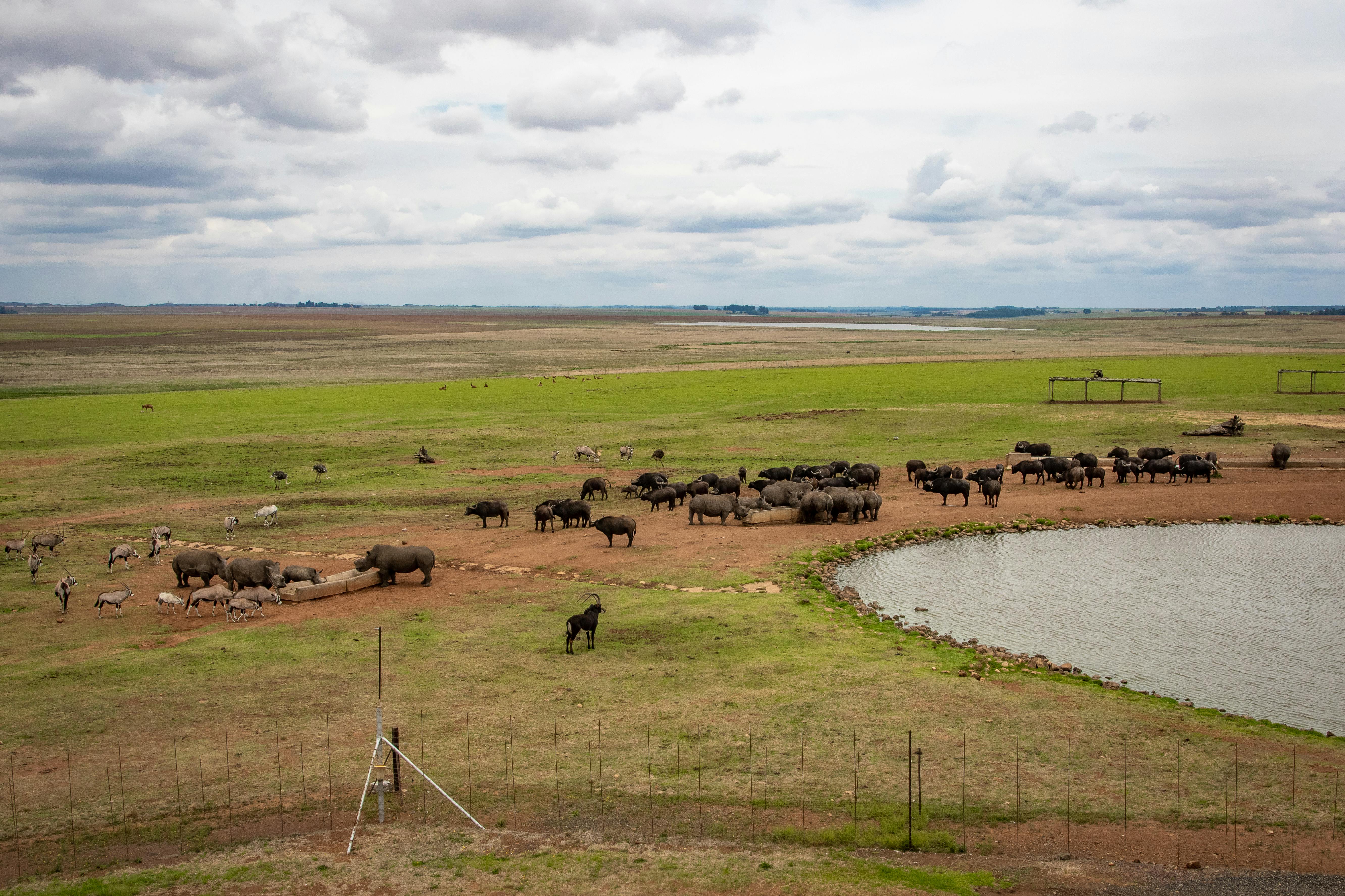 background image for - Safari Trip From Zanzibar To Serengeti 