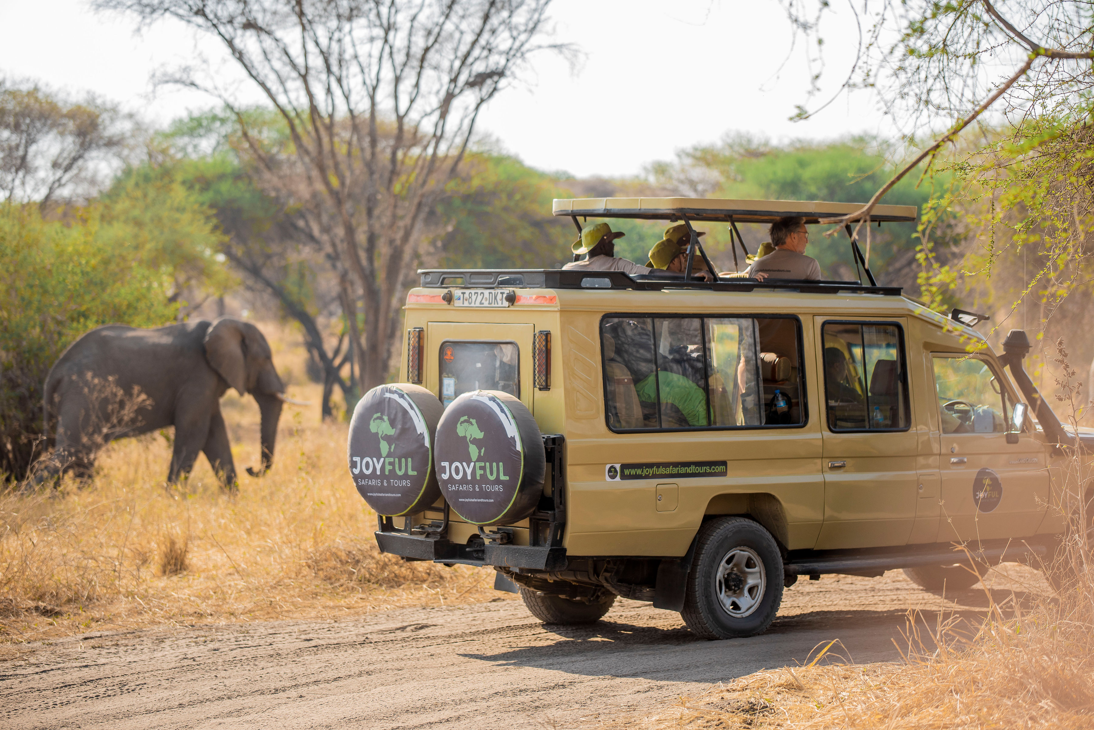 Image number 1 for Tanzania Safari, Culture, Materuni Waterfalls Coffee Tour