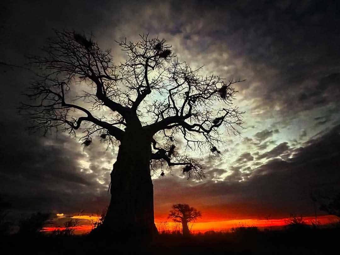 background image for - Fly In Serengeti And Ngorongoro Camping Safari