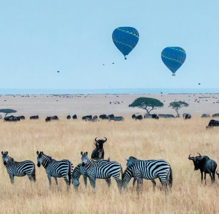 background image for - 7-Days Serengeti Wildebeests Migration