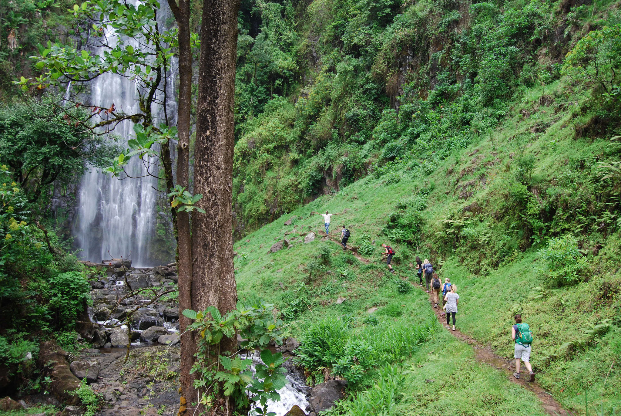 background image for - Materuni waterfalls day trip