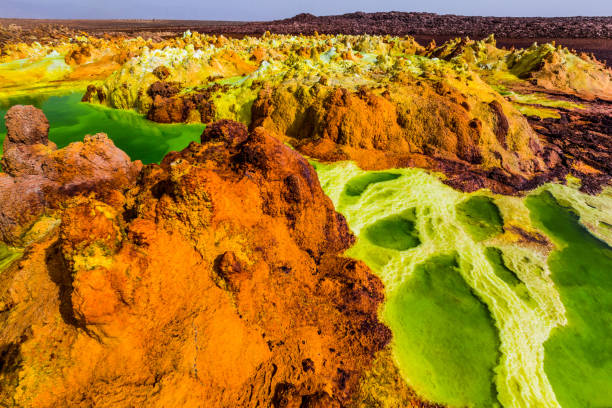 Image number 3 for Awash Park & Danakil Depression Tour