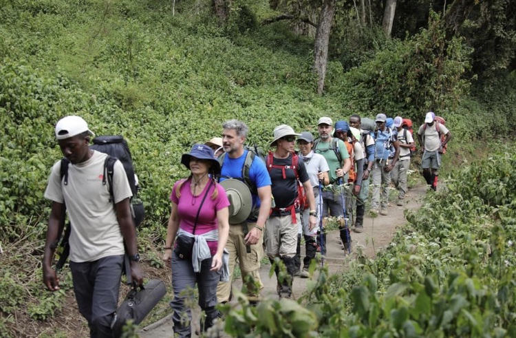 background image for - 8 Days Lemosho Route – Mount Kilimanjaro Climb