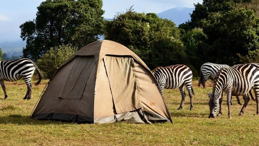Image number 2 for 5-Day Tanzania Camping Safari Adventure