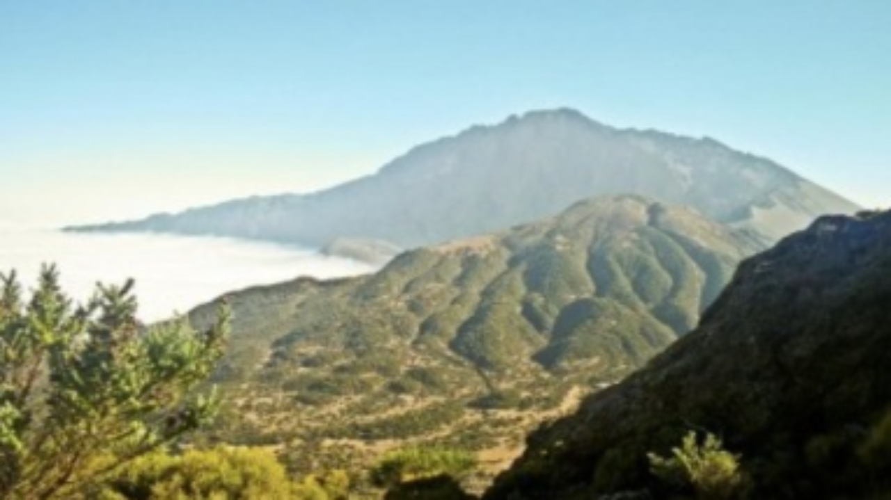 background image for - 3 Days Group Joining Mount Meru Climbing Safari 