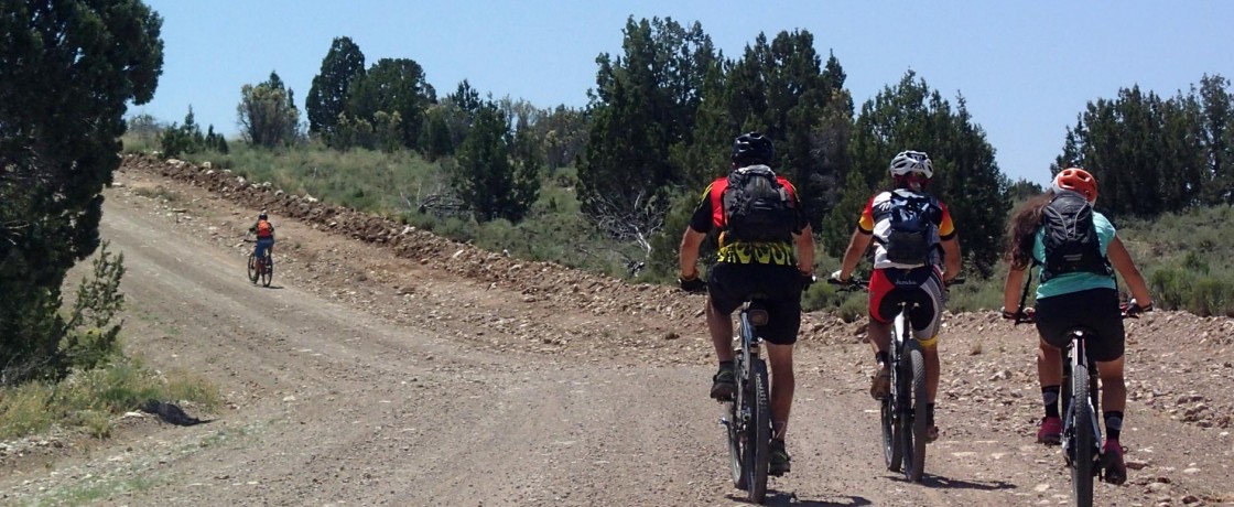 background image for - Kilimanjaro Day Hike Tour