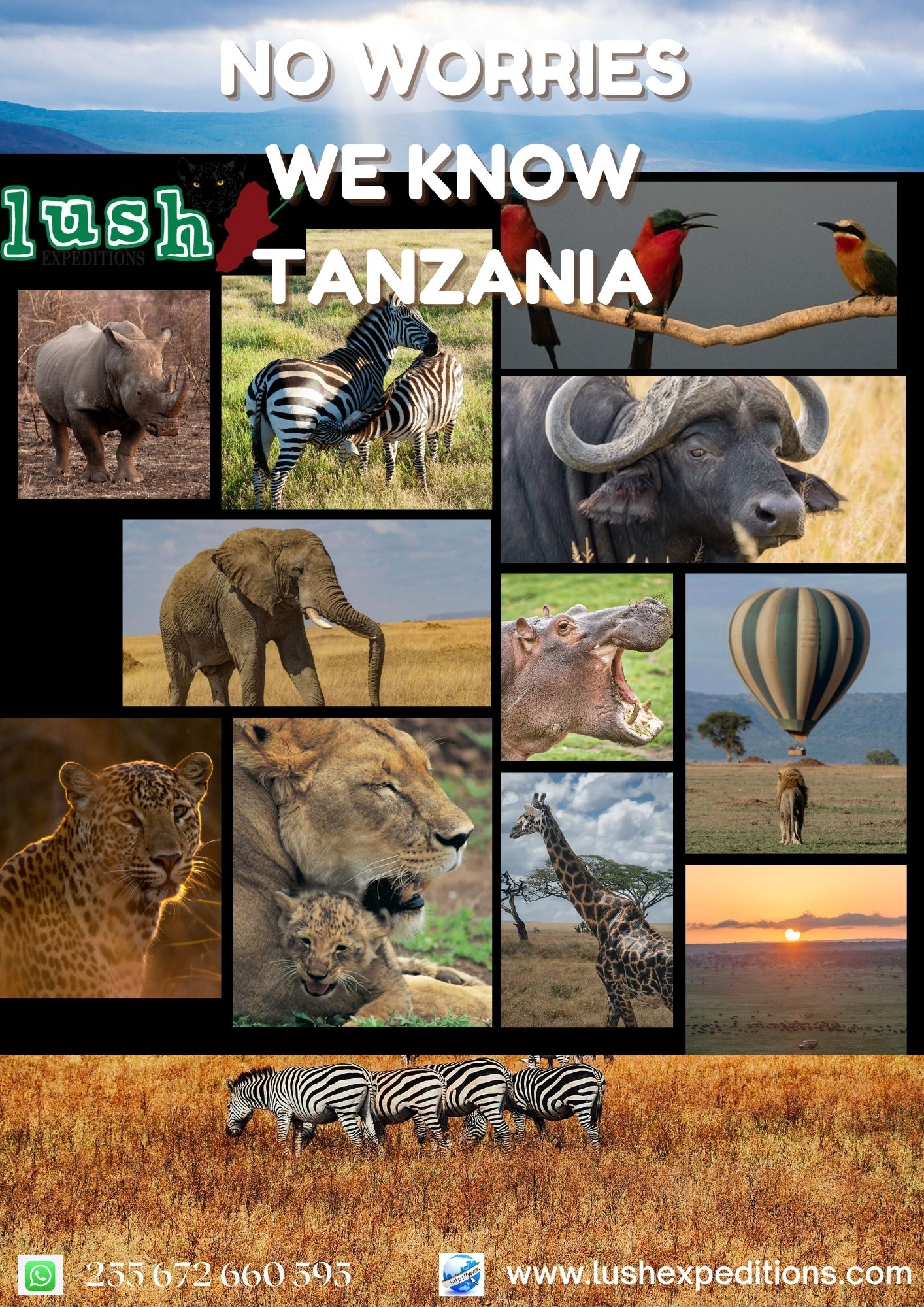 background image for -  6 Days Tanzania Safari