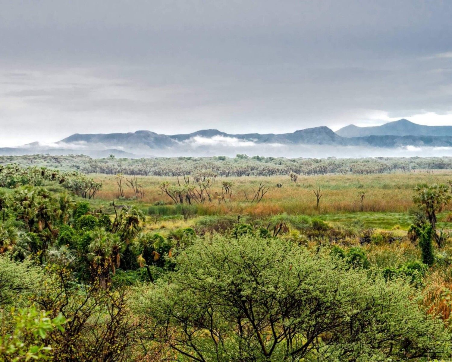 Image number 7 for 3 Days Wild Wonders And Nature, Awash Np Tour