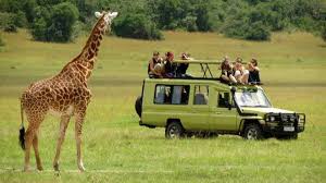 Image number 1 for Tarangire National Park Day Trip
