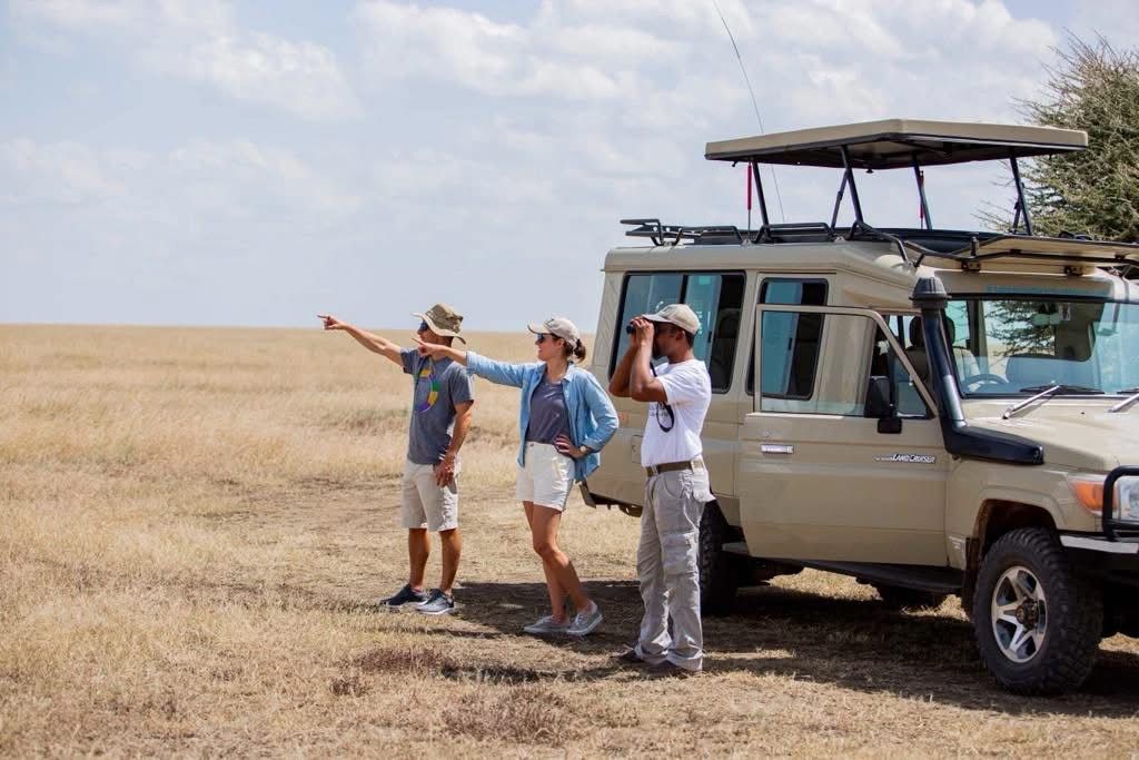 background image for - Affordable Family Safari Tarangire  | Manyara | Serengeti | Ngorongoro 