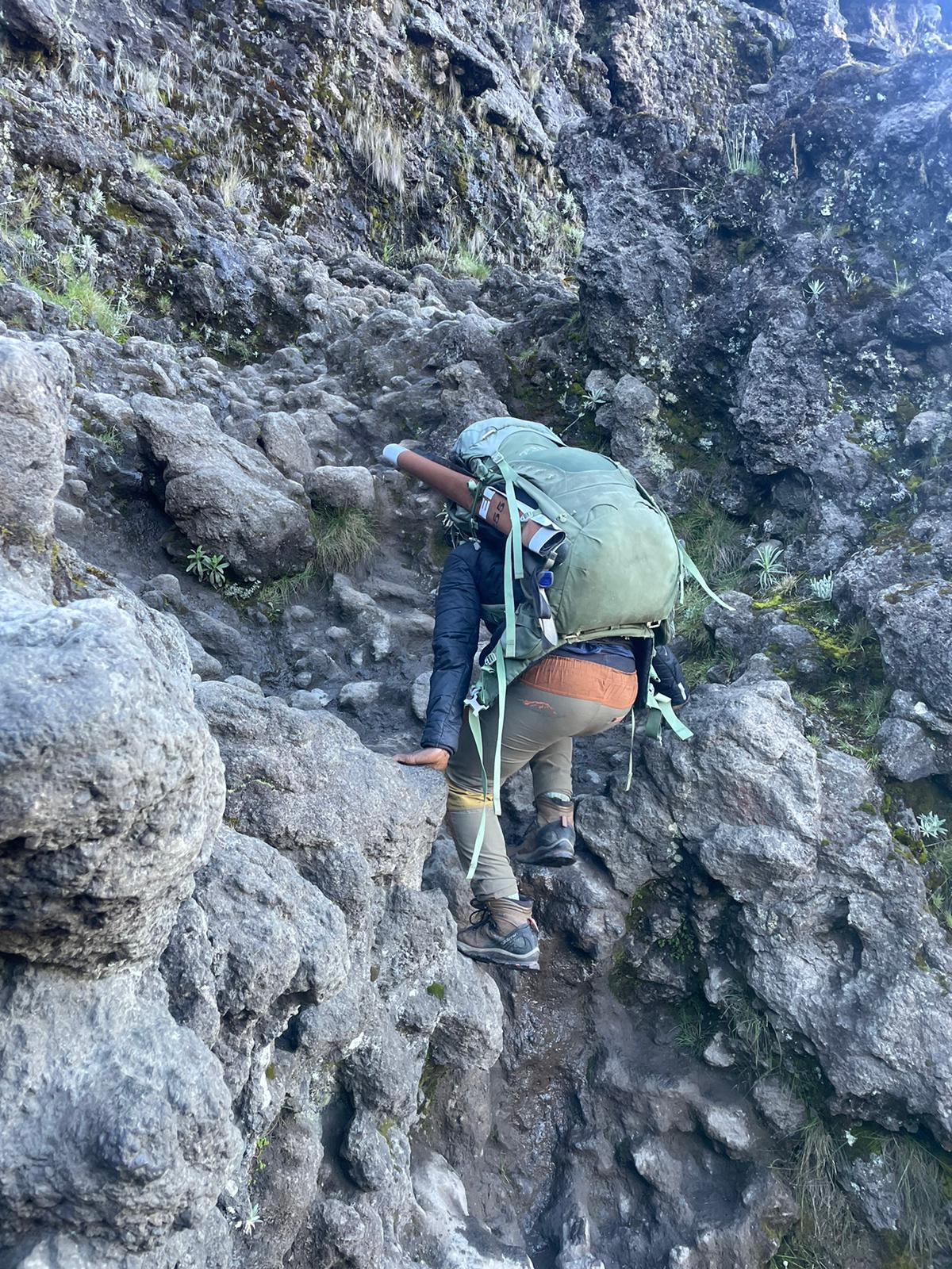 background image for - 5 Days Marangu Route, Group Tour