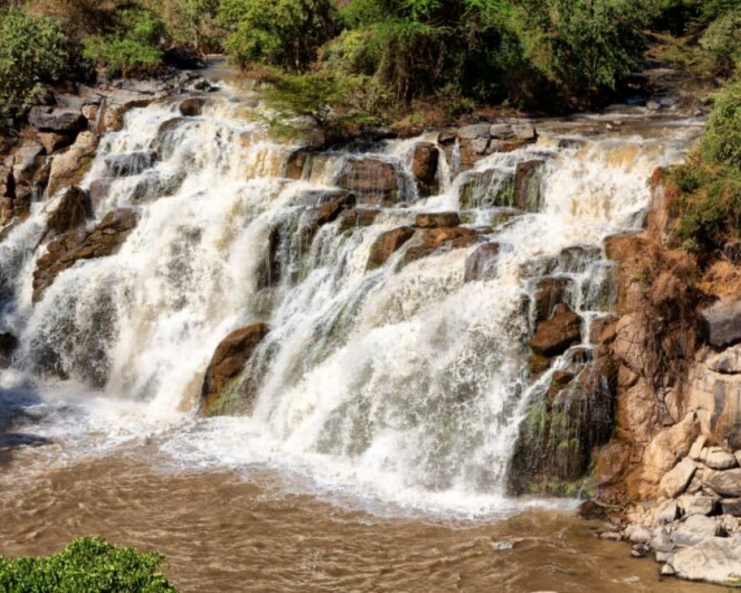 Image number 5 for 3 Days Wild Wonders And Nature, Awash Np Tour